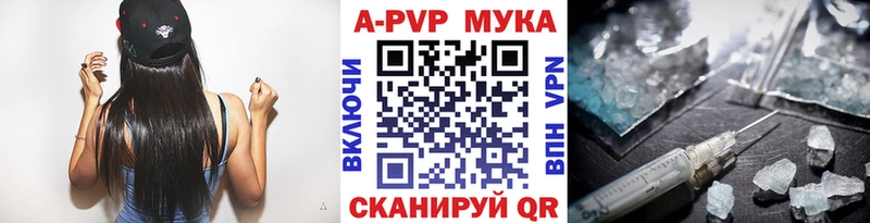 Купить закладки  Можга  Alpha-PVP СК КРИС 