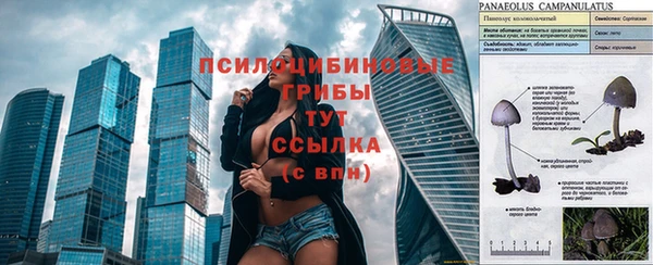 дживик Вяземский