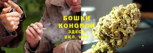 дживик Вяземский
