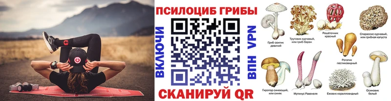 Купить закладки  Можга  Псилоцибиновые грибы мицелий 